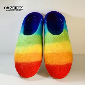 Rainbow Felt Wool Slippers